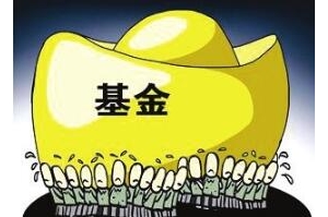 ��ؔС��Ͷ�Y�n�ã�С�����Ͷ�Y������