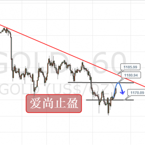 ����ֹӯ���վ����F�����ǣ����D�c�񿴷��r��