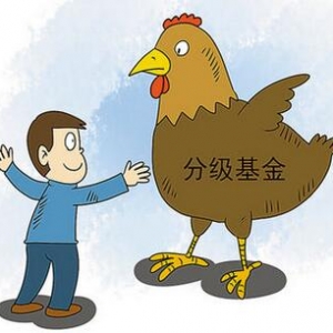 �ּ�����������ʲô��˼���ּ�����B���ۺ�ԓ��ô����