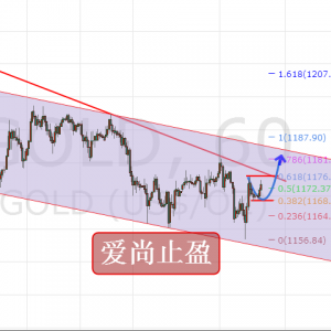 ��(��i)��ֹӯ����ҹ��������m(x��)���S�����g��Ͷ���