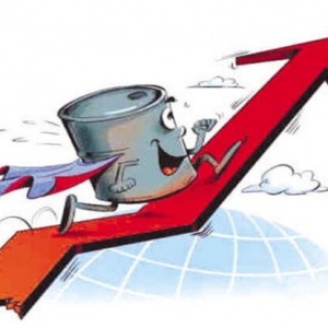 �_���x��12��9��OPEC�p�a(ch��n)ѩ�ϼ�˪���̓rС���f���ͷ�