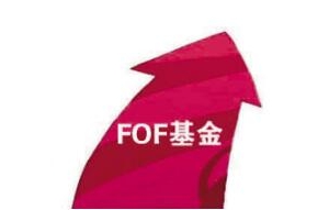 FOF������ʲô��