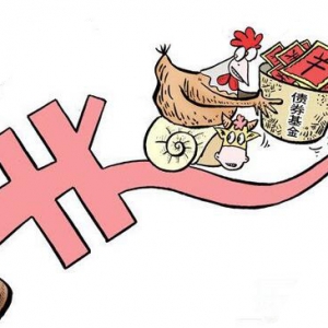 �ܗU��ȯ�����Ͷ�Y��ʽ����Щ��Ҫ���]��Щ���أ�