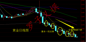 �_���x��12��12�S���������������Ƿ�o����