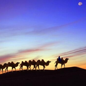 ��һ��һ·�����Բ���