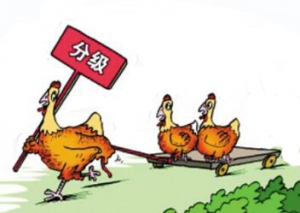 �ּ�����İlչ�v�̽�B