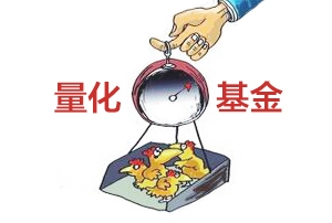 ʲô����������