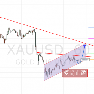 ��(��i)��ֹӯ���S���p�(y��ng)����������1135֮������Ͷ���