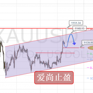 ��(��i)��ֹӯ���S�𱩝q�Ǐ�(qi��ng)��(sh��)�����g���r(ji��)���^(q��)�g��