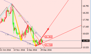 �ν���ؔ�� �p�aЧ�����Ɲq�ݣ��y���Ճ��߄ݽ�������1.3����