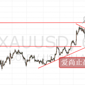 ��(��i)��ֹӯ���S���賿�����Ƹ������g1156ֱ��������