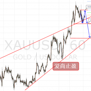 ����ֹӯ���S�𷴏��Ƿ��D�����ܻ�ӭ���c��