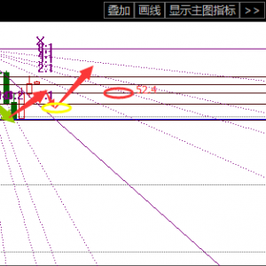 �ν���ؔ���p�a������M�����̓r�����y��ʎ�^�g��������