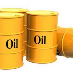 �_���x��1��14ɳ�؜p�a�����̓r��ָ55��Ԫ