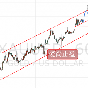 ����ֹӯ���S���վ��B�������֔�����^���D���䣡