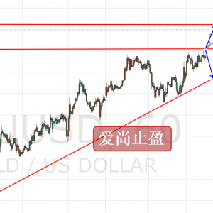 ����ֹӯ�����r�賿������׷�࣬1221�·����f���{����