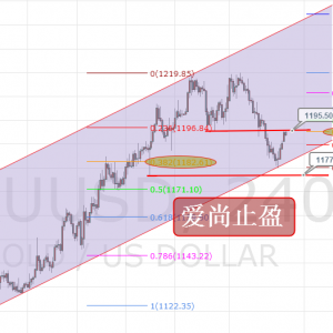 ����ֹӯ���Ճ��S������1195.5���Ճ��|���ɶ̿գ�