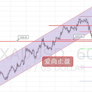 ����ֹӯ�����g�µ���׷�գ��S��1220��֧�Σ�