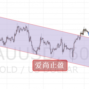 ����ֹӯ���S����λ�o���m(x��)��������ʎ�팦(du��)����