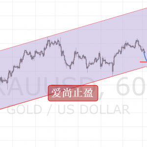 ����ֹӯ���S���ܳ�����ʎ���߹�������������