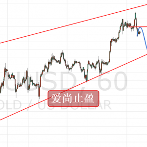 ����ֹӯ���S���賿�س��Ƶͣ��Ճȷ��������գ�