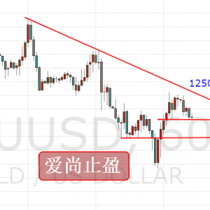 ����ֹӯ���S����ҹ�����Ƹߣ����g1246ֱ�Ӹɶ࣡