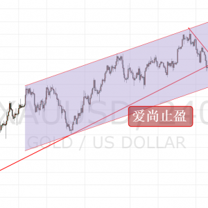 ����ֹӯ����Ϣ�A�ڴ��S���Ճ��Pע1238������