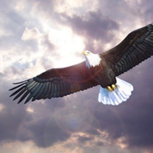 ��P���֣�3.6�S����yԭ����ҹ���u��������������h���g(sh��)ָ��