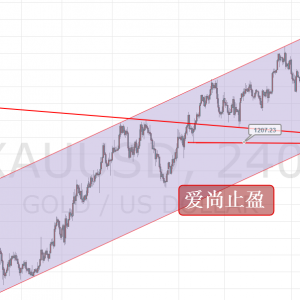 ����ֹӯ���S�����������գ�̽�׻�����ѭ�h��