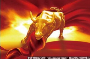 �˂���ʲô�I��Ʊ