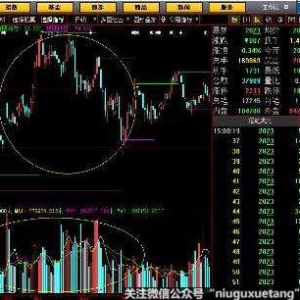 ʲô�ǹ�Ʊ�ĳɽ�����