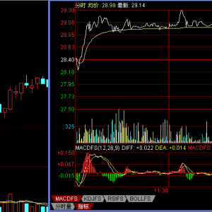 ���ɱP����ο��P