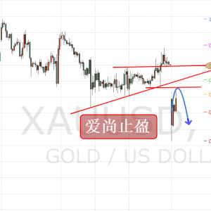 ����ֹӯ���S����_��׷�գ����鵽λ���M����