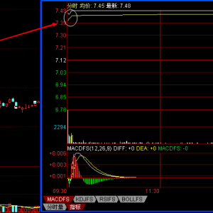 �����͝qͣ�ɵĽ����c