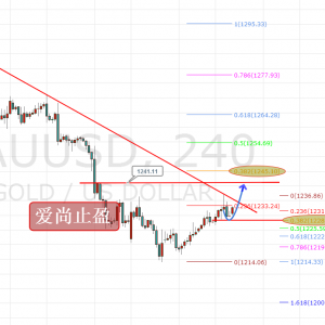 ����ֹӯ���S��1237�������裬֧��֮������������