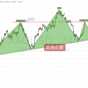 ����ֹӯ���S���Bꖼ��ٷ�Ҋ����^��픉���1264��������