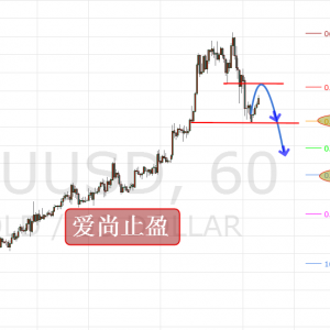 ����ֹӯ���S��1264�ɹ�ץ���1244-45֧�����P�I��