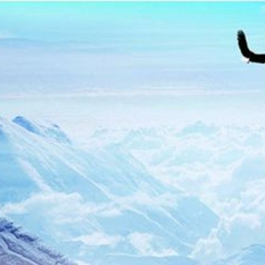 ��P���֣�5.19�ܾ��չٽ����S����yԭ����Ȼ�������߄ݷ������β�������