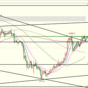 ����ָ�ϣ��S����γ��m�@���У�