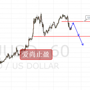 ����ֹӯ���S���賿�س��Ƶͣ�1258�·��^�m�գ�