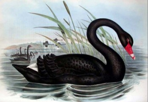 6.6�ؾ������u���Ј� �����Z�����]��