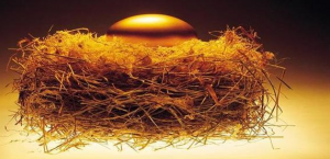 6.9�ˏ�������Ԫ�����w��(l��i) �չ�������Բ��֣�