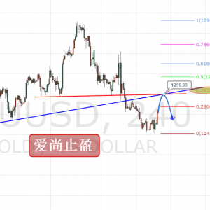 ����ֹӯ���S����νK�@����1262֮��߀�����