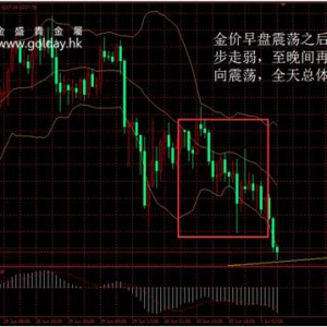 ��ʢ�F���٣����r��ʎ������������P�I֧��