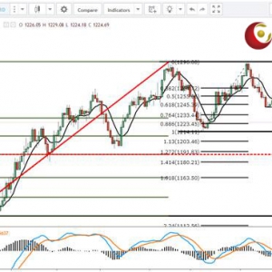 ��ʢ�F���٣����hƽ�����^���Pע���g���r