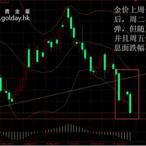 ��ʢ�F���٣����ռ���ጷţ����r�����U��