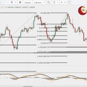 ��ʢ�F���٣����y�߄�ƣܛ��������������