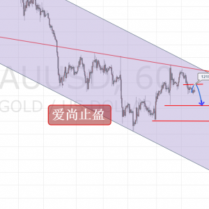 ����ֹӯ���S���վ�ӭ�D�ۣ����շ���^�m�գ�