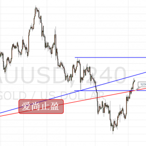 ����ֹӯ���վ��B������m���S��س���Ͷ࣡