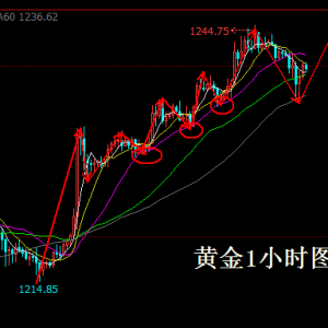 ����Փ���S����γ��m(x��)ӯ���У�ԭ���o��EIA